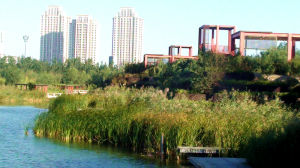 橋園公園 橋園公園