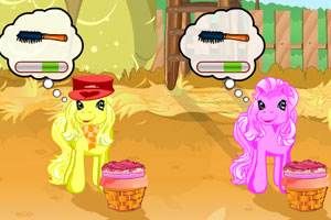 照顧小馬 照顧小馬