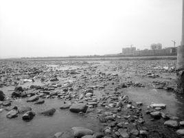 環境影響 環境影響