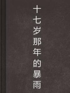 十七歲那年的暴雨 十七歲那年的暴雨