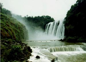 古田自然保護區 古田自然保護區