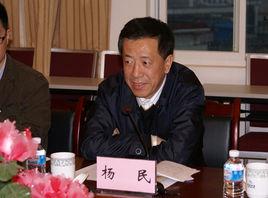 楊民[清華大學副教授]