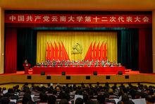 雲南大學發展研究院