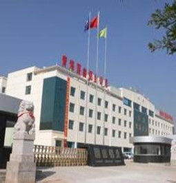 青海國鑫鋁業股份有限公司 青海國鑫鋁業股份有限公司