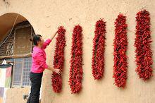 延長[陝西省延長縣]