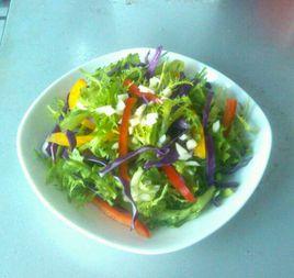 蒜拌苦菊 蒜拌苦菊