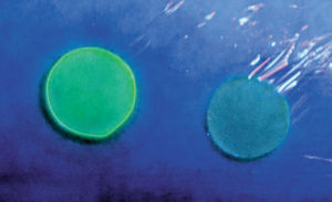 “皮膚檢測藥膏”的作用示意圖