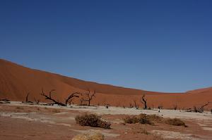 （圖）納米比沙漠