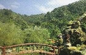 金桃山休閒樂園 金桃山休閒樂園