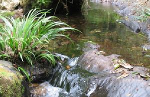 紅茶溝國家森林公園