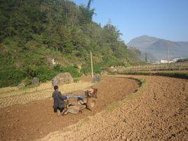 水田鄉[四川平武縣轄鄉]