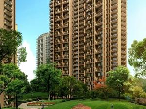 邵陽佳源名人國際花園 邵陽佳源名人國際花園