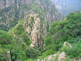 大連大赫山國家森林公園 大連大赫山國家森林公園