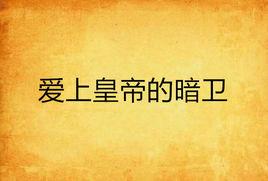 愛上皇帝的暗衛 愛上皇帝的暗衛