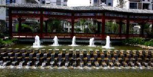 荷塘悅色 荷塘悅色