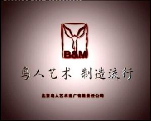 鳥人藝術 鳥人藝術