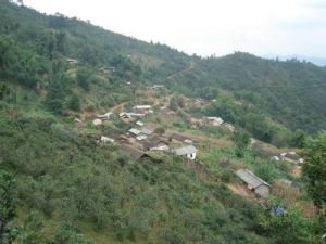 滾掌自然村 滾掌自然村