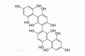 褐藻多酚 褐藻多酚