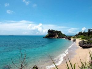 亞海西運動 亞海西運動