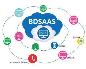 BDSAAS BDSAAS