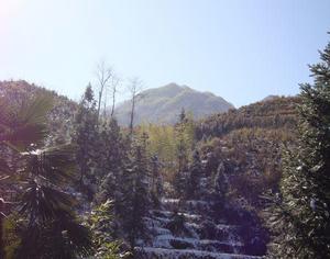 王子春烈士埋葬地