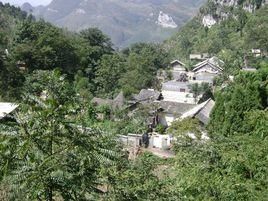 團樹子自然村 團樹子自然村