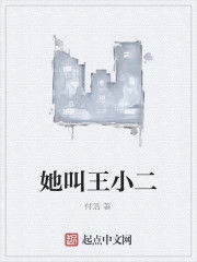 她叫王小二 她叫王小二