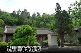 牛頭禪寺 牛頭禪寺