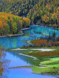 臥龍[國家級自然保護區]