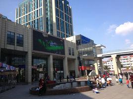 奉賢連城一號 奉賢連城一號