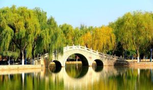 銀川西夏公園 銀川西夏公園