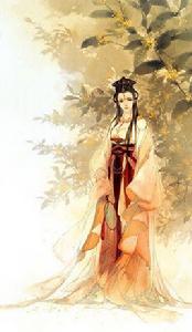 樂安公主[西魏汝陽郡王元昭之女]