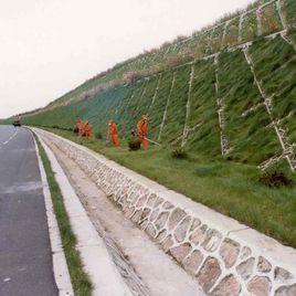 邊坡綠化 邊坡綠化