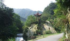 六安山水畫廊 六安山水畫廊