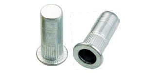 拉鉚螺母 拉鉚螺母