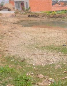 旱秧田村 旱秧田村