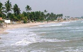 幾內亞灣 幾內亞灣