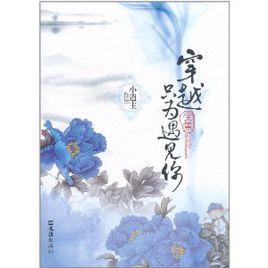 穿越只為遇見你全集