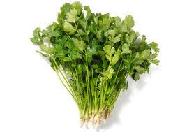 綠香香菜 綠香香菜