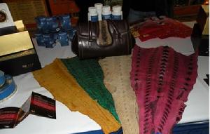 鱘魚產業在湖北的發展，把湖北打造成世界鱘魚之都