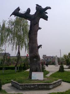 樓觀台森林公園