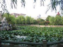 濱海中學老校區靜心池