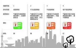 煙花燃放指數 煙花燃放指數