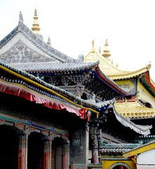 年毛寺[青海省果洛藏族自治州達日縣]