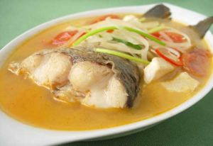 沙參玉竹魚尾湯 沙參玉竹魚尾湯