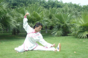 四兩撥千斤 四兩撥千斤