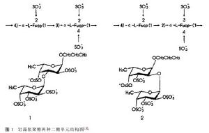 海藻多糖 海藻多糖