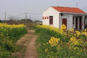 南馮莊村 南馮莊村