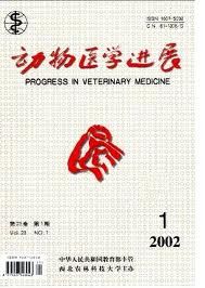 動物醫學進展 動物醫學進展