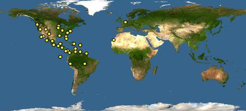 黃冠夜鷺分布圖